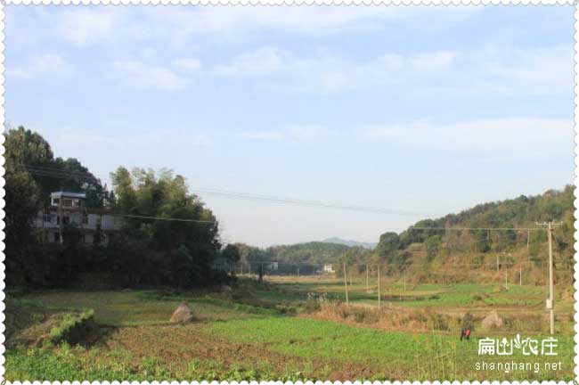 龍岩老（lǎo）母養殖基地