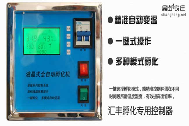 中型設備孵蛋器