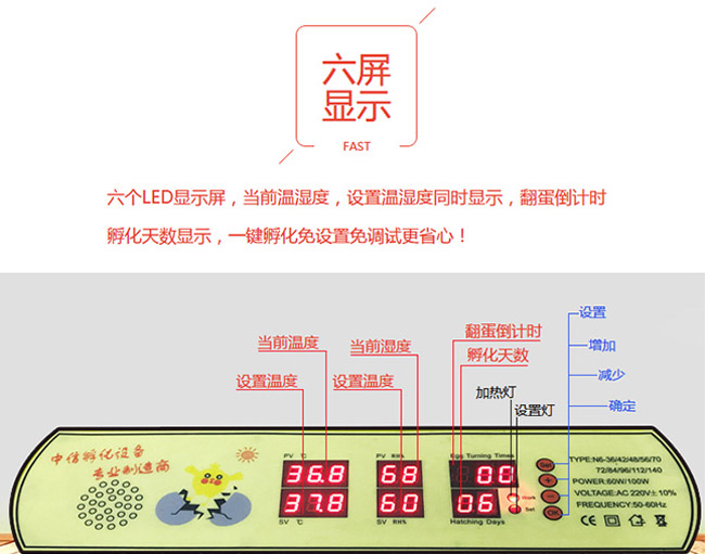 實用型家（jiā）用孵化機