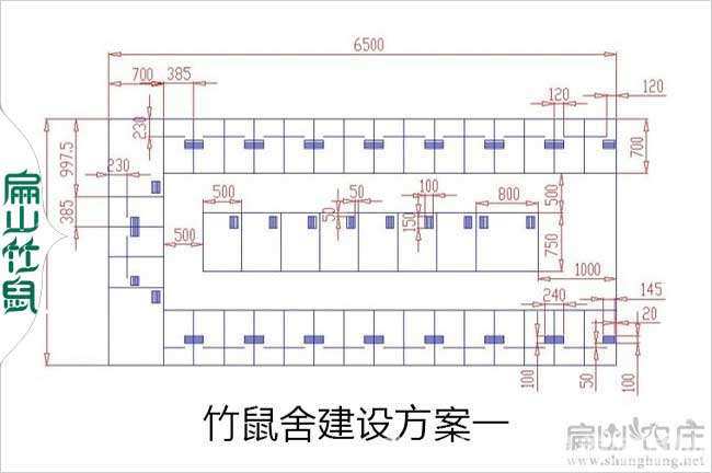 竹鼠舍建設方案二