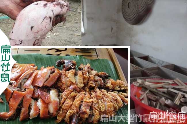 衡陽竹（zhú）鼠肉多少錢（qián）一斤