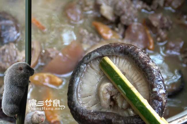 昭通竹鼠肉批發