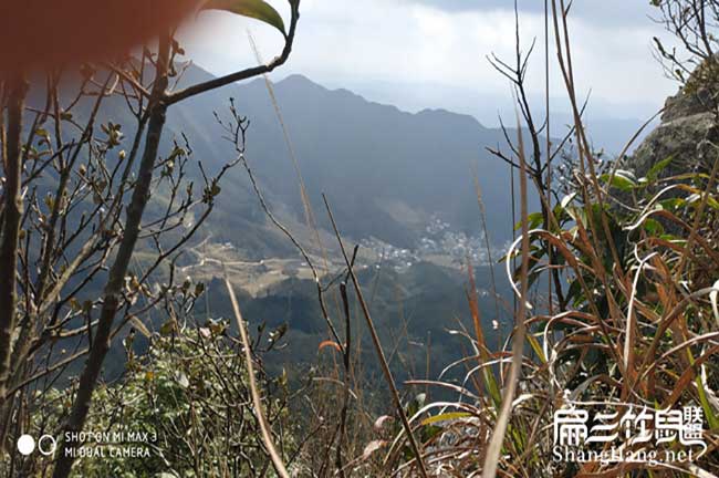 竹鼠養殖騙局新圩鎮竹