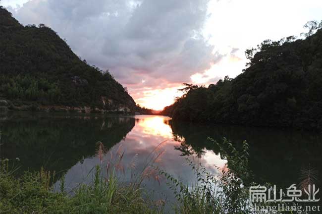 漳州竹鼠養殖環境