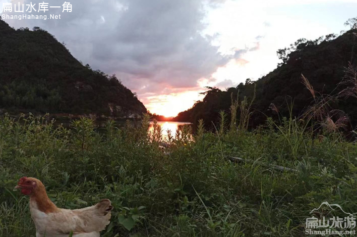 扁山水庫釣魚