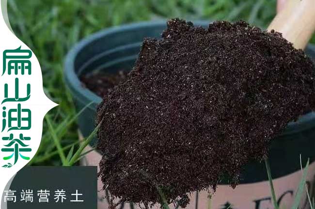 油（yóu）茶有機（jī）肥料