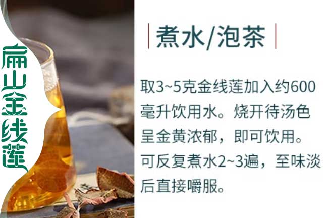 金線蓮煮水