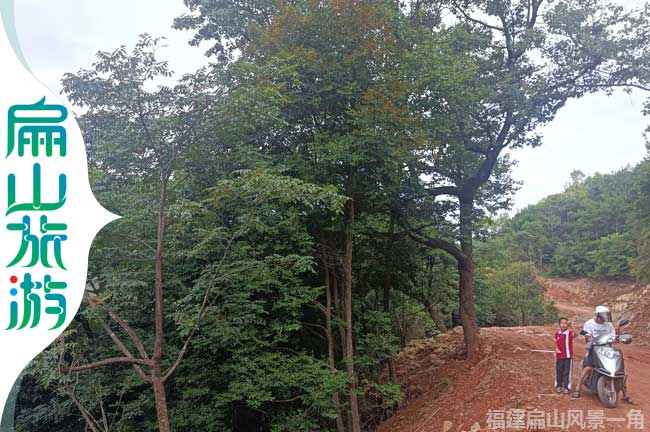 上杭（háng）扁山存新開公路道路旁風（fēng）景（jǐng）