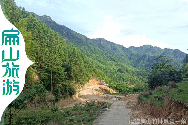 福建林業公路風景一（yī）角