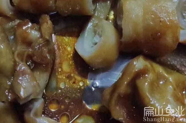 福建（jiàn）肉兔批發