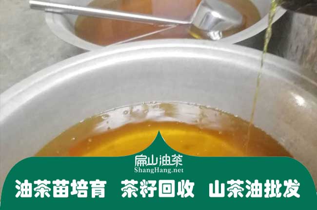 2024新鮮茶油批發