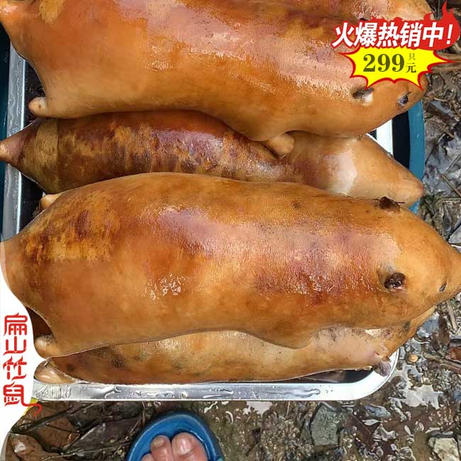 湖北竹鼠批發