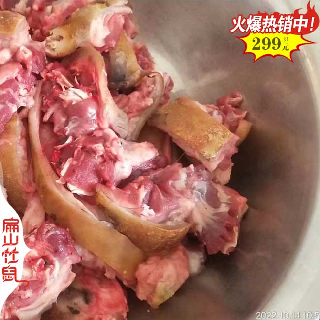 湖南紅頰竹鼠種（zhǒng）苗（miáo）