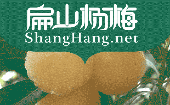 德宏（hóng）水晶楊（yáng）梅苗批發